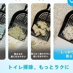 猫の砂の画像