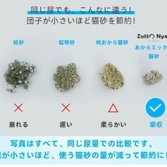 猫の砂の画像