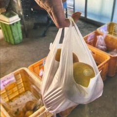 幸水の画像
