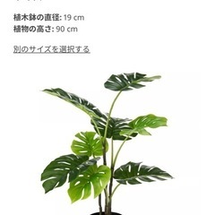 IKEA フェイクグリーン モンステラの画像