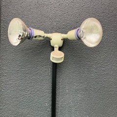 センサーライトの画像
