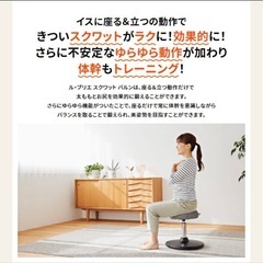 ミズノ　スクワット椅子8/28までの画像