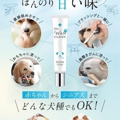 【新品】犬の歯磨き粉　歯磨きジェルの画像