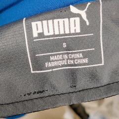 0824-059 PUMA　ショートパンツの画像