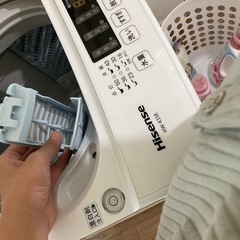 2024年製の画像