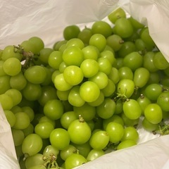 山梨県産　シャインマスカット　1キロ　はねだし　訳ありの画像