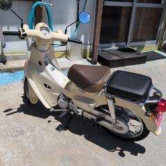 ホンダカブ110の画像