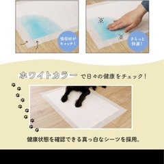 ペットシーツ　超薄型レギュラーサイズ　300枚の画像