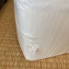 ペットシーツ　超薄型レギュラーサイズ　300枚の画像