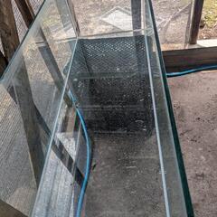 １２０水槽の画像