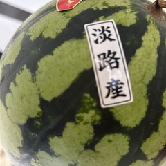スイカの画像