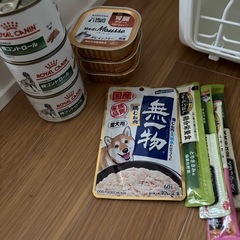犬用品
の画像