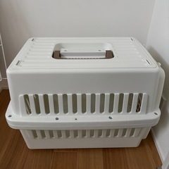 犬用品
の画像