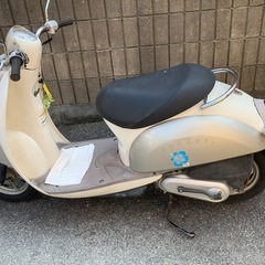 ホンダ　スクーピー　50cc 中古　引き取り限定 
原チャリ　原付の画像