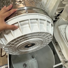 激安売り切り⭐️本日引き取り可🙆‍♀️TOSHIBA 洗濯機 5kg（槽分解清掃実施済み！）一人〜二人暮らしに◎ 柏市引取限定の画像