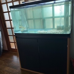 値段相談可。熱帯魚+900水槽セットの画像