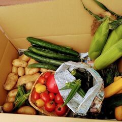 【数量限定】おまかせ野菜セットの画像