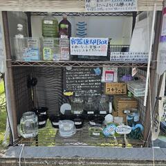 めだか(メダカ)無人販売の画像
