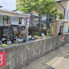 めだか(メダカ)無人販売の画像