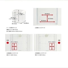鳥かごクリアバード35の画像