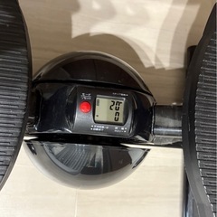 オアシス　ステッパーの画像