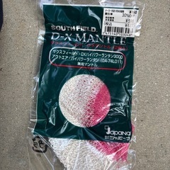サウスフィード　パワーランタンの画像