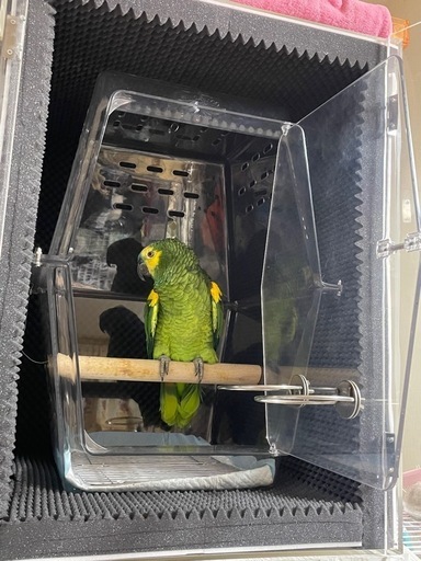 アクリルケース・アクリルケージ、ポリカーボキャリーセット