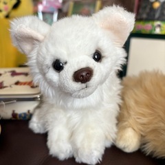 ぬいぐるみ　ポーチ　セットの画像