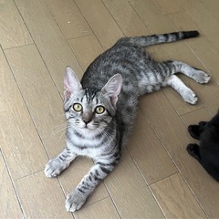 人が大好き甘えん坊の女の子です❤️