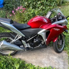 （ジャンク扱い）CBR250Ꭱ MC41（お話中）の画像