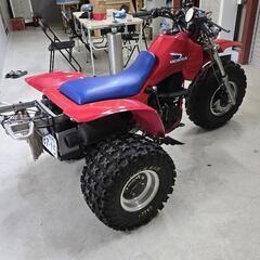 ♦️激レア♦️1986年HONDA　ATC200X 三輪バギーの画像