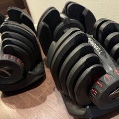 可変式(アジャスタブル)ダンベル　40kg 2個の画像