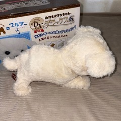 おかえりワンちゃん デラックス6 マルプーの画像