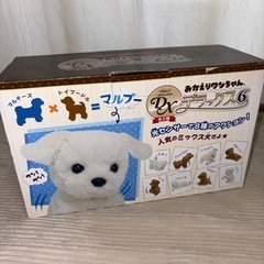 おかえりワンちゃん デラックス6 マルプーの画像