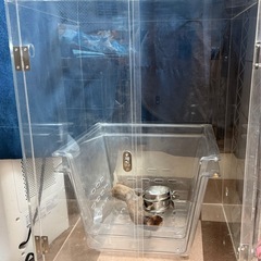 【セット】アクリルケース・アクリルケージ、ポリカーボキャリーセットの画像
