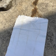 ③
まわし　祭り　ふんどし　相撲の画像