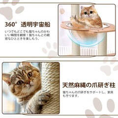 新品　キャットタワー 165cm 木製 スリム 据え置き キャットハウス つめとぎの画像