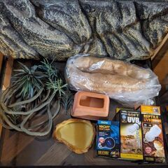 爬虫類飼育ケージ GEX EXOTERRA グラステラリウム6030 PT2604 両開きフロントドアW61.5×D46.5×H33cmの画像
