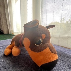 チワワ　犬　ぬいぐるみ　中の画像