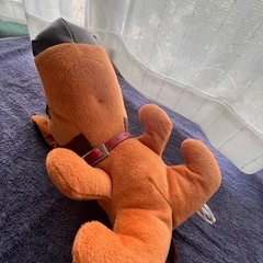 チワワ　犬　ぬいぐるみ　中の画像