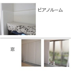 吸音材 断熱材 防音材 ホワイトキューオン 厚み50mm ESW-1800（910×1820 1枚入）東京防音 日本製 防音DIY ポリエステル100% の画像