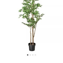 観葉植物　人工　
FEJKA フェイカの画像