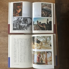 『女盗賊プーラン（上下巻）』の画像