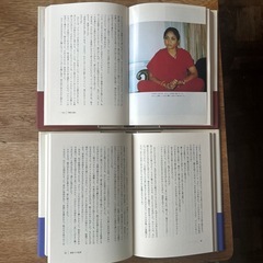 『女盗賊プーラン（上下巻）』の画像
