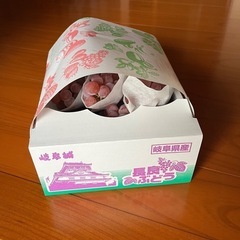 長良ぶどう園のぶどうの画像