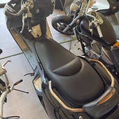 マグザム250 不動の画像