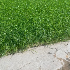 人工芝の端切れの画像