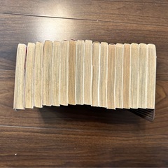 純愛特攻隊長! 全13 ＋純愛特攻隊長!本気 全4 清野静流の画像