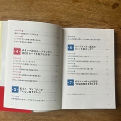 『ラクラク稼ぐFX 　ループイフダン』の画像