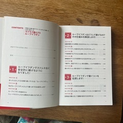 『ラクラク稼ぐFX 　ループイフダン』の画像